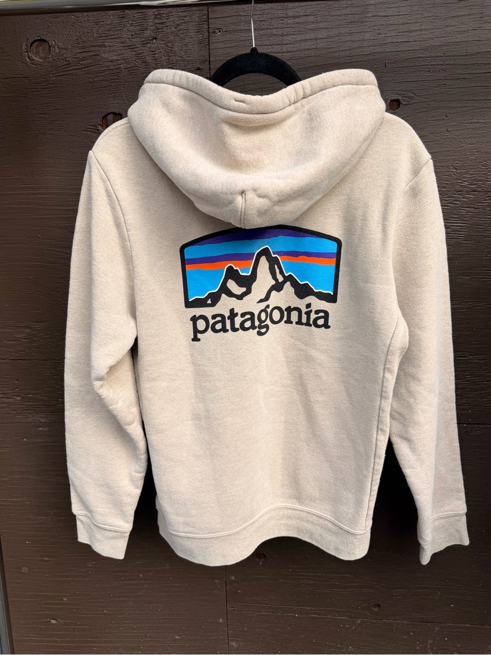 Patagonia Unisex Cream Hoodie with Mountain Logo